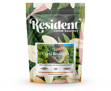 Brazil Corsi Brothers Catucaí 2SL