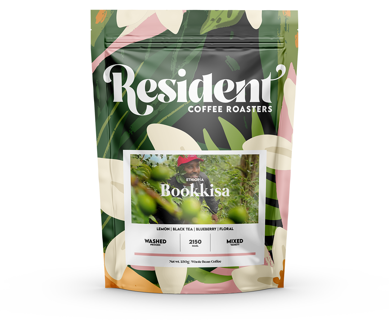 Ethiopia Bookkisa Washed