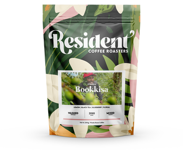 Ethiopia Bookkisa Washed