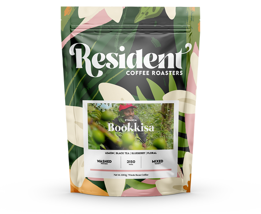 Ethiopia Bookkisa Washed