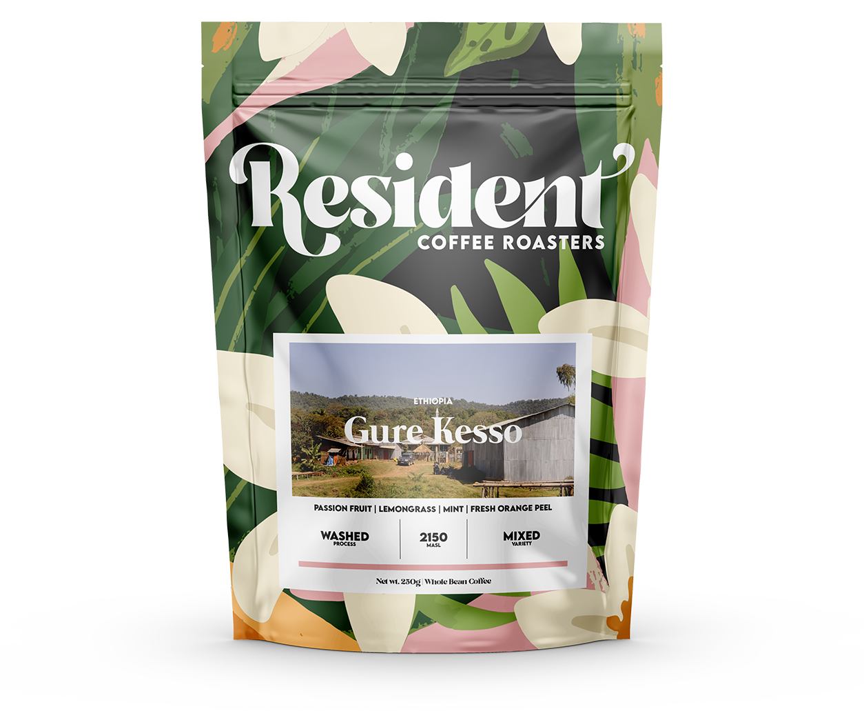 Ethiopia Gure Kesso